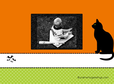black cat beach | back