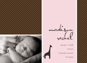 marsh island | pink