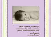 shell point | lavendar